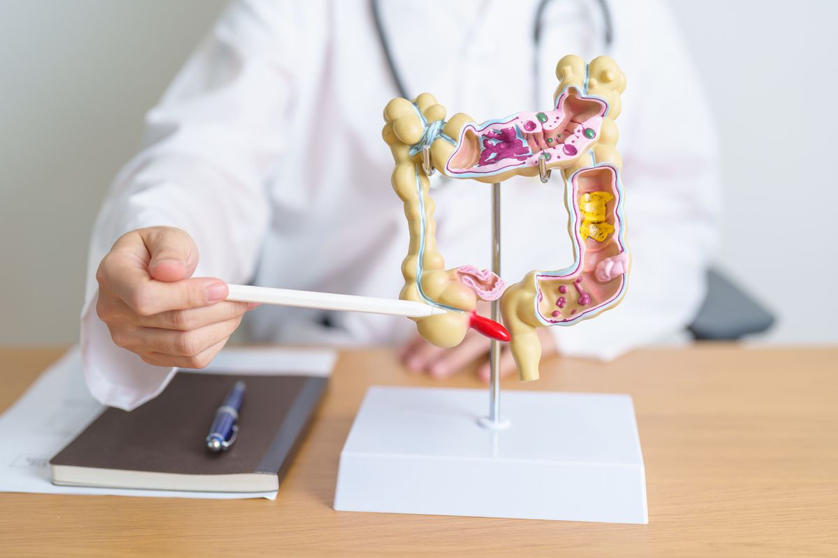 tìm hiểu ruột thừa là gì