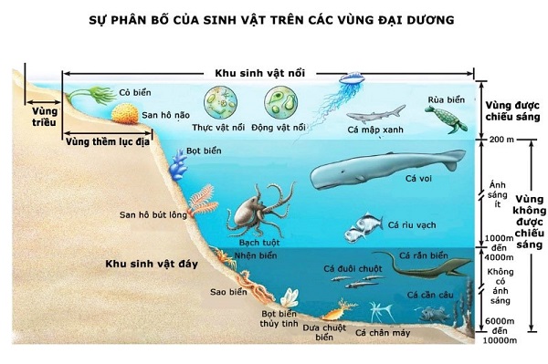 Sinh quyển là gì? Một số khu dự trữ sinh quyển trên thế giới và Việt Nam