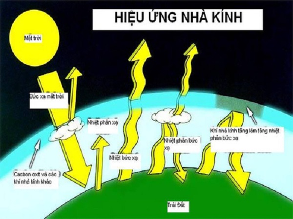 Hiệu ứng nhà kính là gì? Nguyên nhân và Ảnh hưởng của hiệu ứng nhà kính