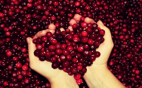 cranberry-la-qua-gi