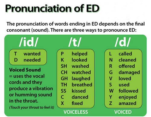 cách phát âm s es ed và quy tắc sử dụng đuôi ed