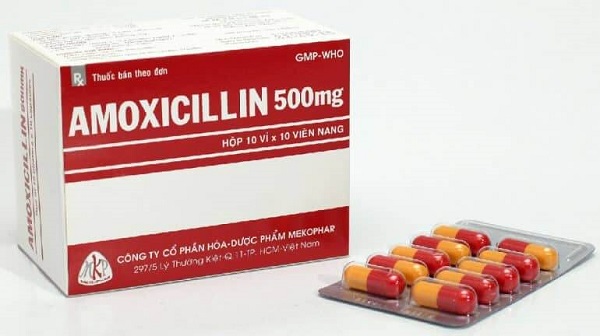 tìm hiểu amoxicillin là thuốc gì 