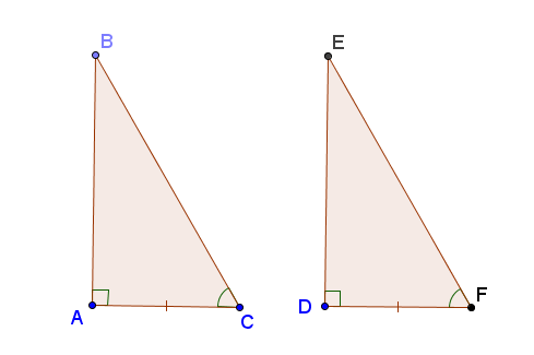 các trường hợp bằng nhau của tam giác vuông góc nhọn kề