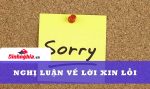 khái niệm xin lỗi là gì và nghị luận về lời xin lỗi